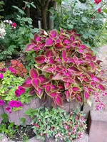 20180612_210239.webp