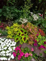 20180612_210246.webp
