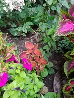 20180612_210252.webp