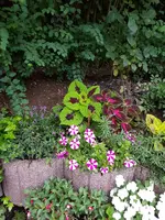 20180612_210258.webp