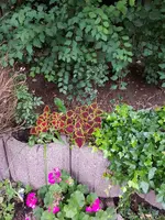 20180612_210306.webp
