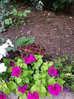 20180612_210314.webp