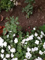 20180612_210322.webp