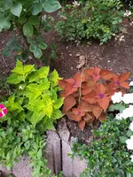 20180612_210329.webp