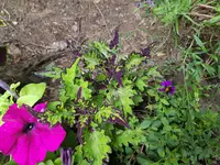 20180614_145339.webp