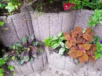 20180612_210341.webp