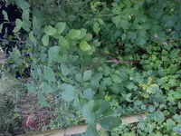 20180614_212559.jpg