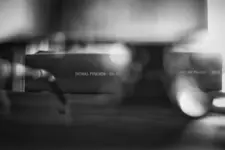 thomas pynchon.webp