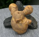 Kartoffel0317.webp