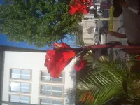 DSC05004.jpg
