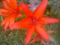 DSC05014.webp