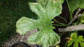 20180615_104325.webp