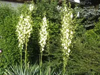 BILD9837.webp