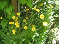 BILD9853.webp