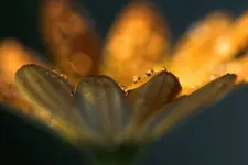 0M3A5398.webp