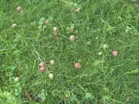 BILD9859.webp