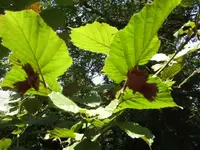 BILD9857.webp