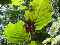 BILD9858.webp