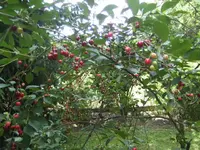 BILD9867.webp