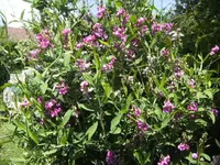 BILD9868.webp
