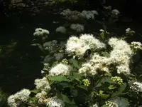 BILD9866.webp