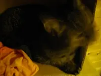 IMGP6303.webp
