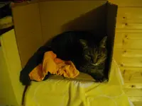 IMGP6300.webp