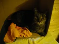 IMGP6301.webp