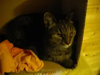 IMGP6302.webp