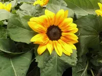 DSCI0286 (4).webp