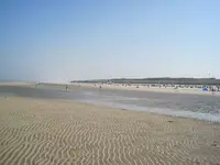 012.webp