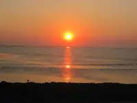 028.webp
