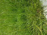 20180616_105943.jpg