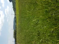 20180616_105951.jpg