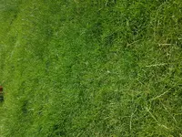 20180616_110007.jpg