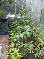BILD9840.webp