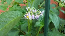 20180616_104914_resized.jpg