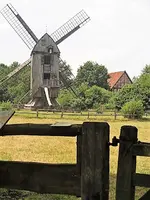 DSCI0309 (1).JPG