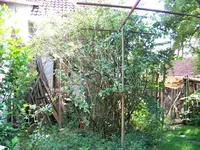 100_6604.webp
