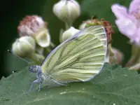 image001.jpg