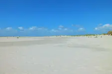 DSCF9781 (2).webp