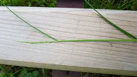 20180616_195938.webp