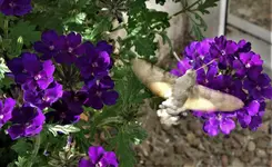 2018tr08.webp