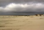 IMG_5615a.jpg