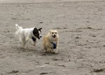 IMG_6415a.jpg
