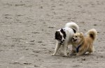 IMG_6382a.jpg