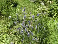 BILD9869.webp