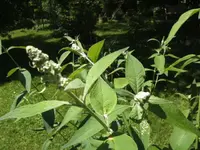 BILD9865.webp