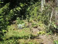 BILD9845.webp