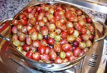 Saftige Früchte b.webp